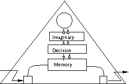 System level 9